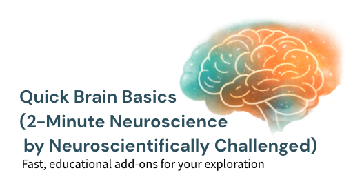 Quick Brain Basics (2-Minute Neuroscience by Neuroscientifically Challenged). Fast, educational add-ons for your exploration.
