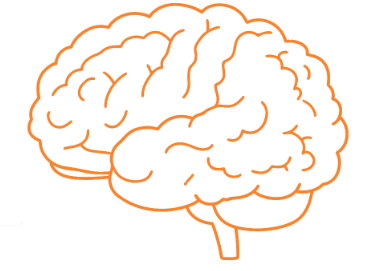 Orange line drawing of a brain